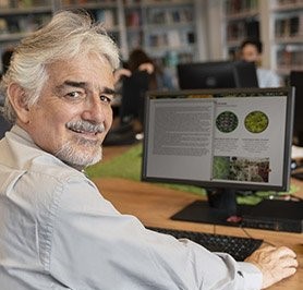 Imagem Ícone